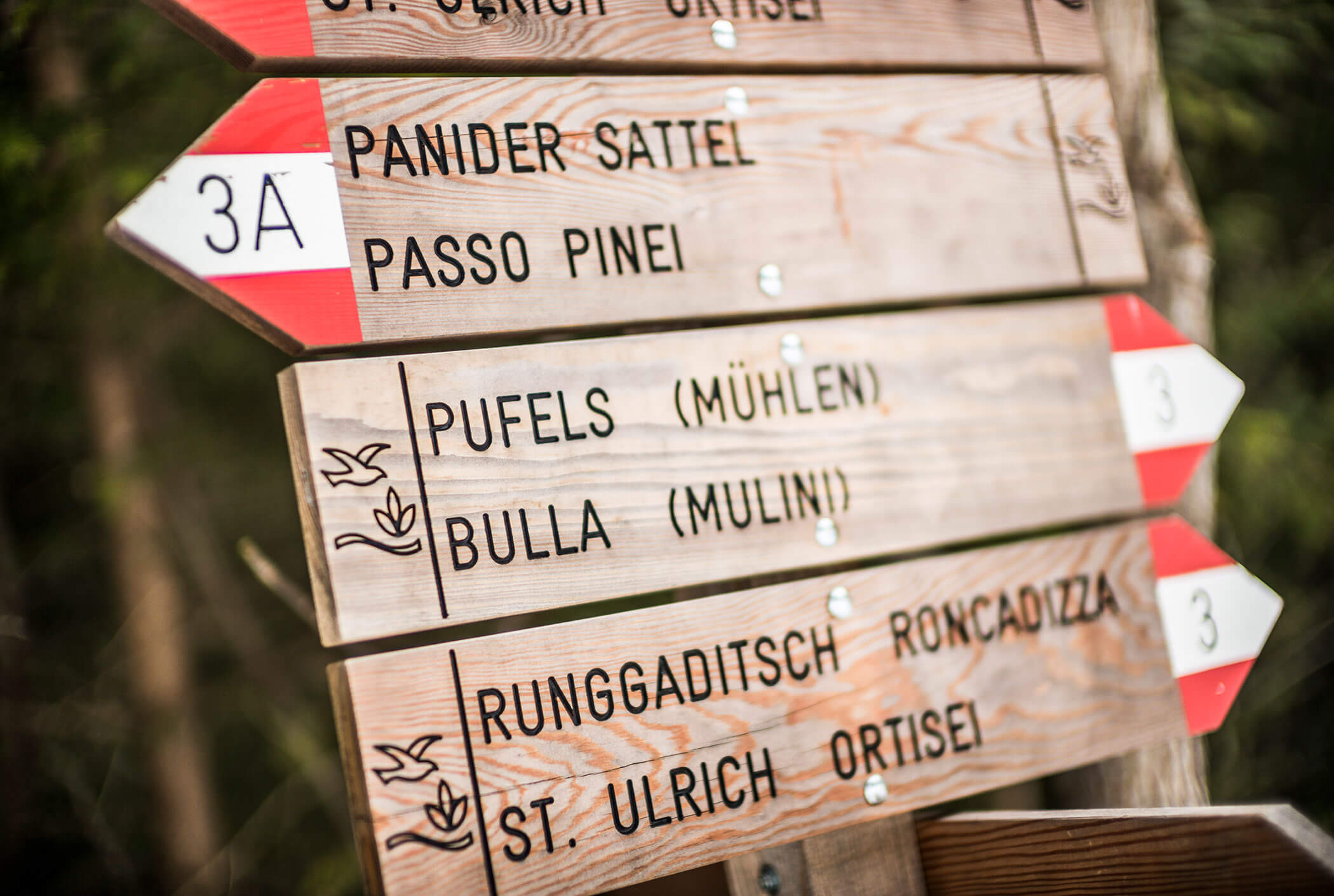 Arrivo - Hotel Platz